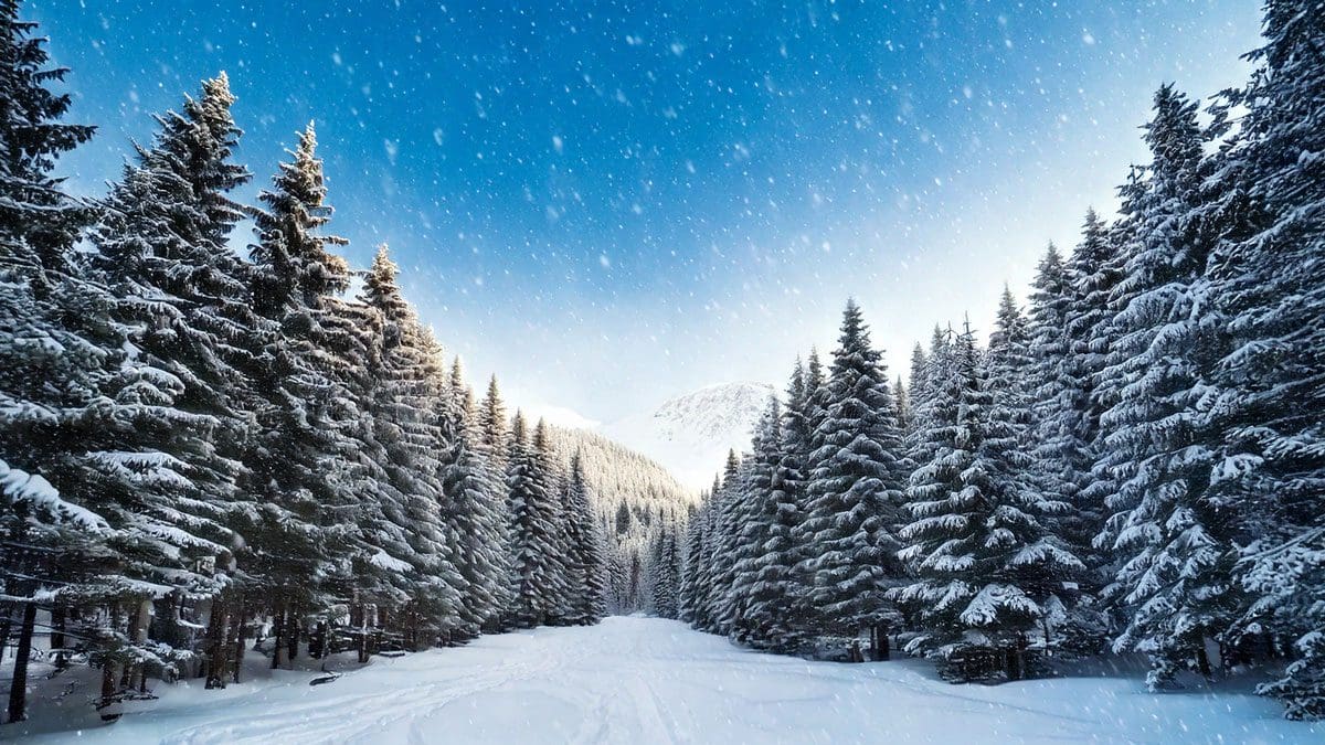 Installing Hardwood Floors in Winter